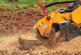 Best Seasonal Cleanup (Spring/Fall)  in Los Ranchos, CA