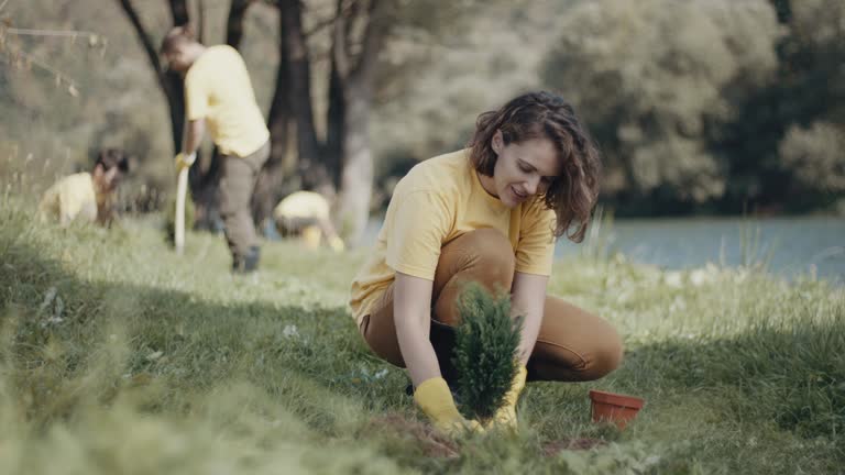 Best Grass Overseeding  in Los Ranchos, CA